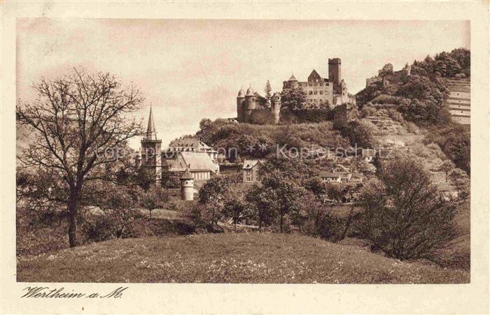 Wertheim Main BW Burg-Wertheim Kirche Huegel Wald Stadtansicht Wiese