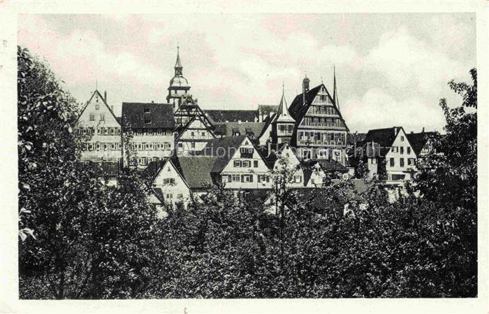 Bietigheim Baden Stadtansicht Kirchturm Fachwerkhaus Daecher Baeume Altstadt