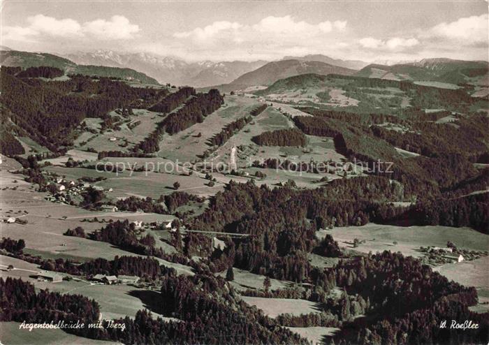 Argentobelbruecke Gruenenbach Allgaeu Lindau Bayern Argentobelbruecke Iberg Luft