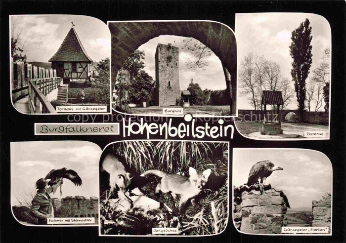 Hohenbeilstein (Burg) Beilstein Wuerttemberg Heilbronn BW Burgfalknerei Torhaus