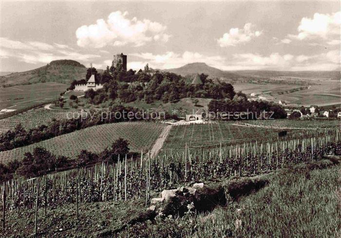 Hohenbeilstein (Burg) Beilstein Wuerttemberg Heilbronn BW Weinberg Huegel Landsc