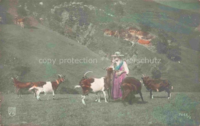 Ziegen Goat Chevre-- Landschaft Frau