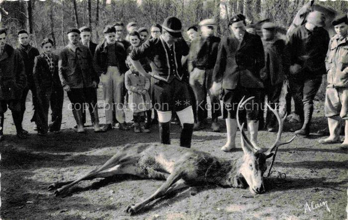 Jagd Chasse Hunting-- Hirsch Avant la Curee