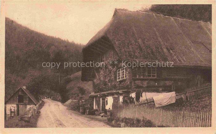 Elchlepp Verlag Elchlepp Nr. 12 Das Schwarzwaldhaus