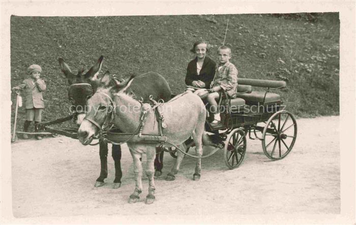 Esel Donkey Ane Burro Asno Asino-- Kinder Kutsche