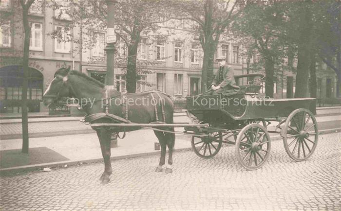 PFERDE Horses Cheval Kutsche