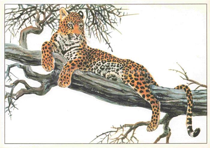 TIERE Animals Animaux Animales Animali-- Leopard