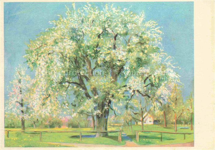 GLINZ Theo Kuenstlerkarte Horn Bluehender Birnenbaum