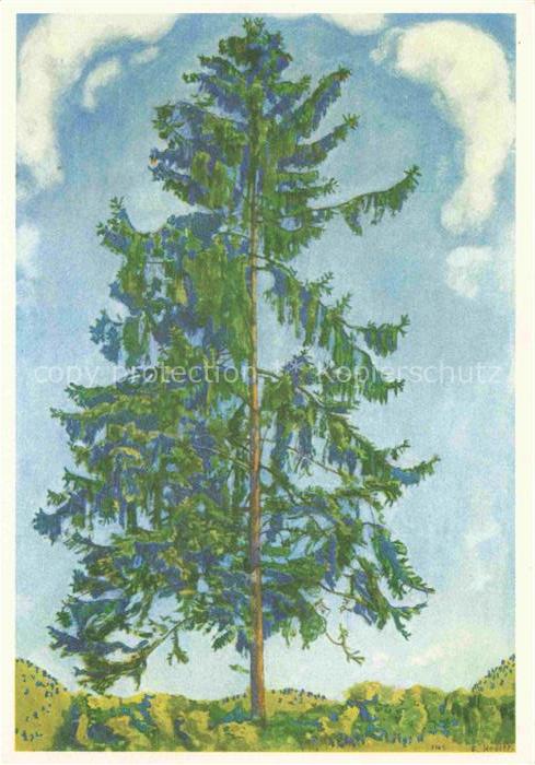 HODLER Ferdinand (1853-1918) Kuenstlerkarte Die Tanne