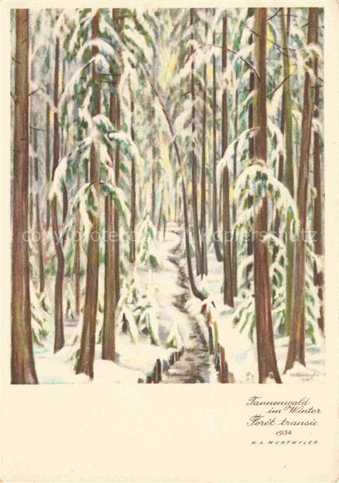 MUNTWYLER H. A. Kuenstlerkarte Schweiz Tannenwald im Winter