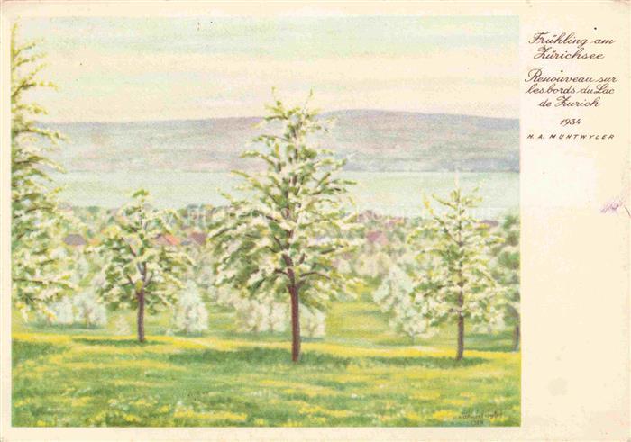 MUNTWYLER H. A. Kuenstlerkarte Schweiz Fruehling am Zuerichsee