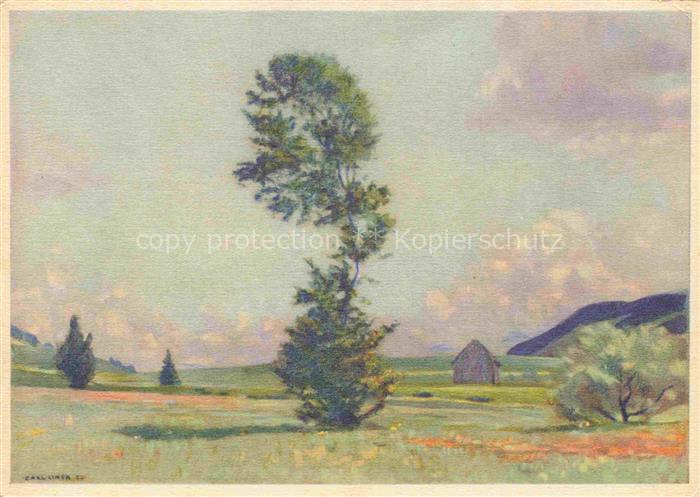 LINER Carl Kuenstlerkarte Schweiz Eggerstander Moos
