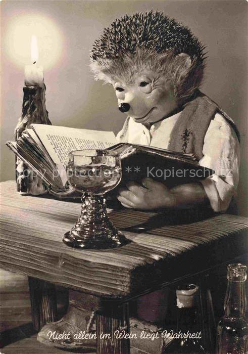 MECKI Nr. 80 Gebrueder Diehl Hoer Zu Wein Buch Lesestunde