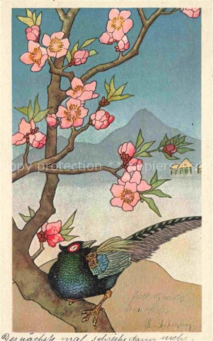 Japan Fasan Kirschblueten Berg Pfahlbauten Vogel Japanisch-Motiv