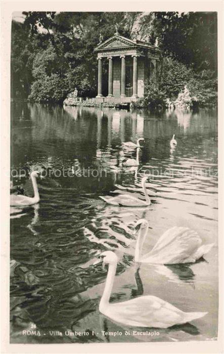 Rom ROMA IT Villa-Umberto-I Tempio-di-Esculapio Teich Schwaene Park Tempel Saeu