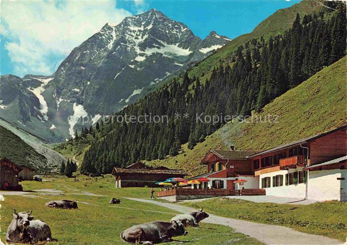 Pinnisalm 1559m Stubaital AT Pinnisalm Pinnistal Habicht Alm Kuehe Almgebaeude T