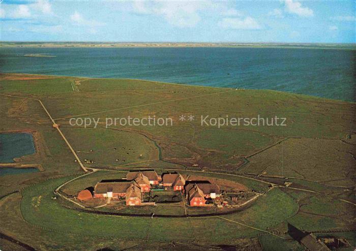 Groede Hallig Nordfriesland d Schleswig-Holstein Hallig Wattenmeer Warft Nordfri