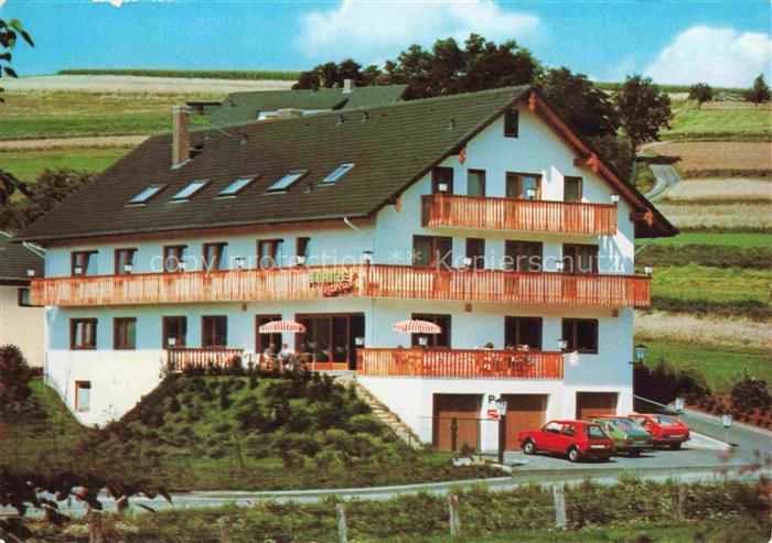 Ronshausen Hersfeld-Rotenburg Hessen Waldhotel-Marbach Hotel Balkon Weinberge Pa