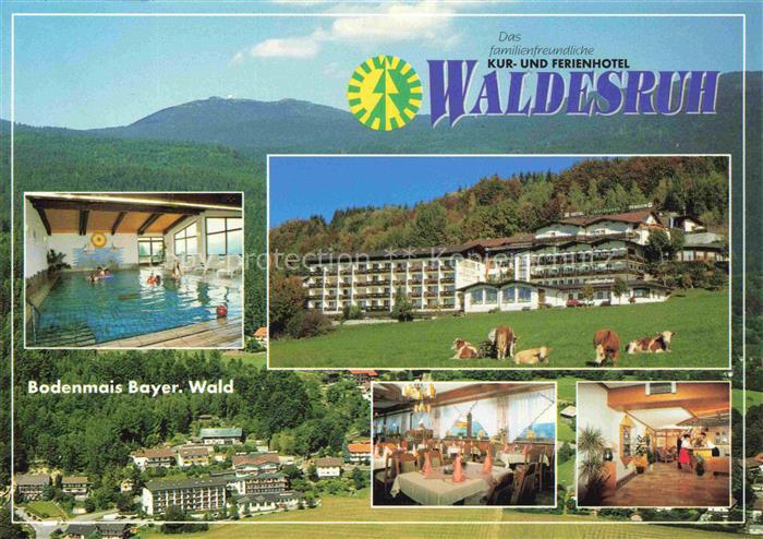 Bodenmais Regen Bayern Hotel-Waldesruh Kur-Ferienhotel Scharebenstrasse Hallenba
