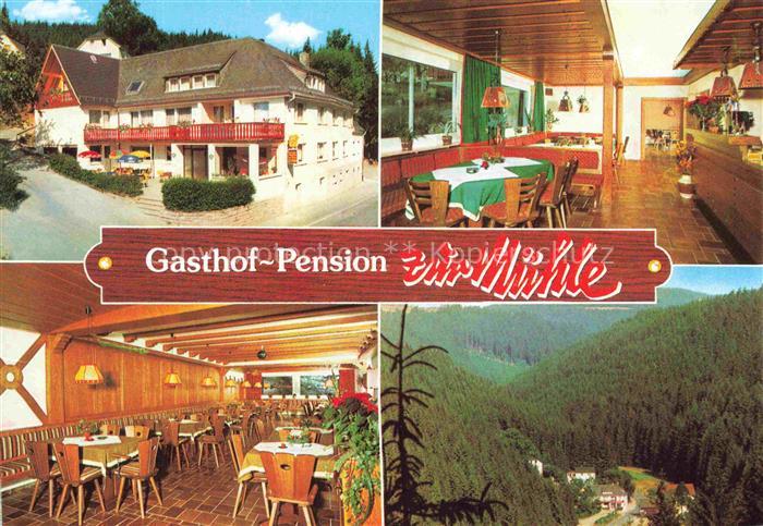 Schwarzenbach am Wald Franken Hof Bayern Gasthof-Pension-Zur-Muehle Schuebelhamm