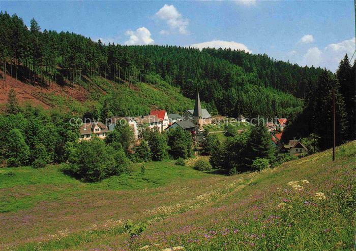 Schwarzenstein Wald Schwarzenbach Frankenwald Gasthof-Rodachtal Kirchturm Dorf W