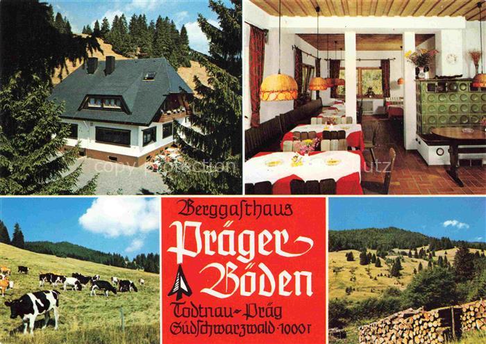 Praegerboeden Almwirtschaft Praeg Todtnau Berggasthaus Schwarzwald Kuehe Weide S