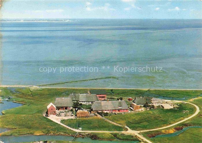Langeness Hallig Langeness Nordfriesland Schleswig-Holstein Maienswarft Hallig F