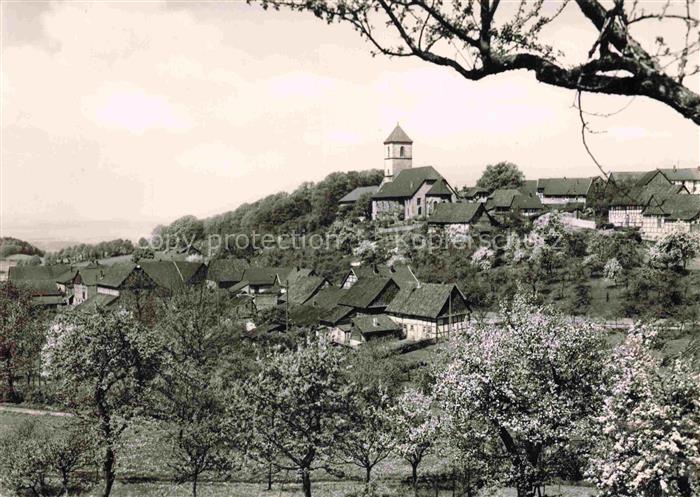 Nikolausberg GoeTTINGEN Niedersachsen Kirchturm Fachwerkhaus Obstbluete Dorf Hue
