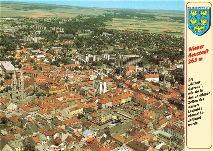 WIENER-NEUSTADT Niederoesterreich AT Luftbild Stadtpanorama Dom Domplatz Militae