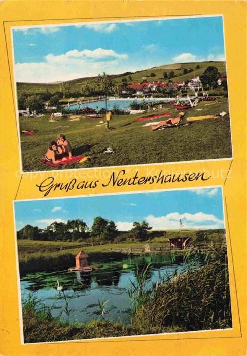Nentershausen Hessen Freibad Schwimmbad Badegaeste Teich Schwan Erholungsort Wie
