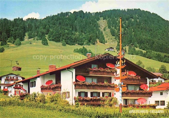 Reit im Winkl Traunstein Bayern Gaestehaus-Hellwig Chiemseestrasse Bergwiesen Sk