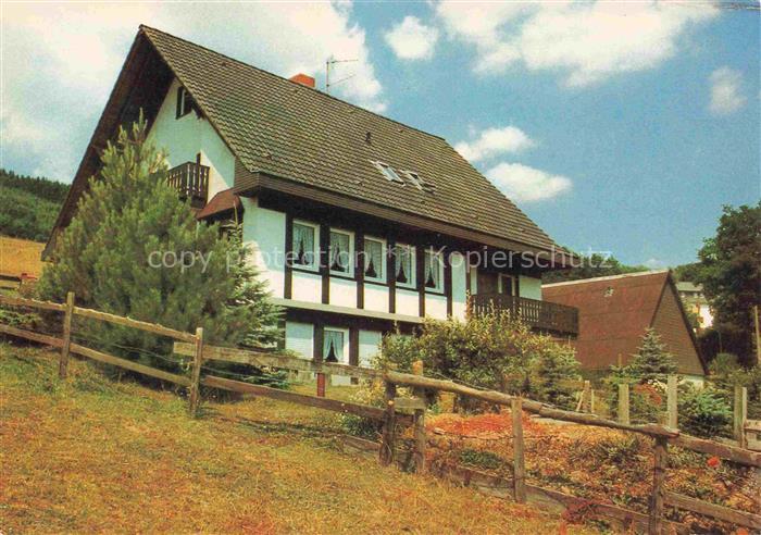 Twismecke Ferienhaus Fachwerk Garten Zaun Sauerland Nadelbaum