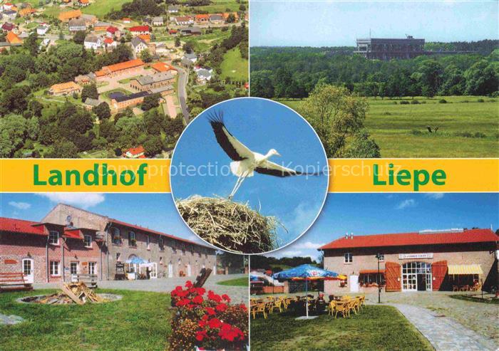 Liepe Eberswalde Barnim Brandenburg Landhof Gutshof Storch Nest Luftbild Gastron