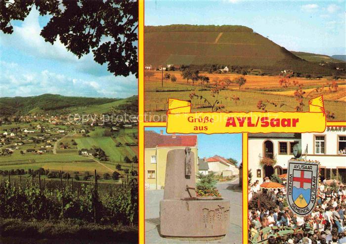 Ayl Saar Rheinland-Pfalz Weinberge Ayler-Kupp Weinort Brunnen Ortschaft Weinlese