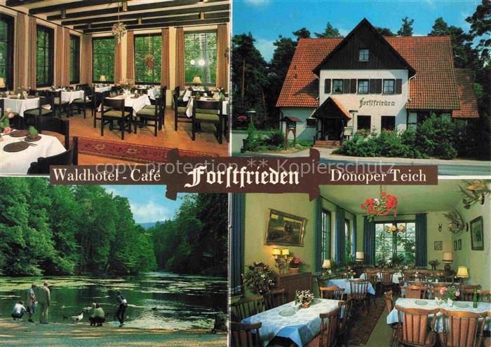 DETMOLD Lippe NRW Waldhotel Forstfrieden Donoper-Teich Gaststube Restaurant Wald