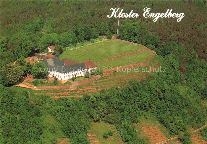 Grossheubach Gross Heubach Main Bayern Kloster-Engelberg Weinberge Wald Main Luf