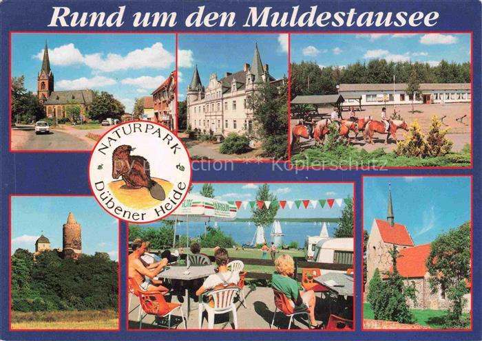 Schlaitz Muldestausee Naturpark-Duebener-Heide Kirche Reiten Campingplatz Turm B