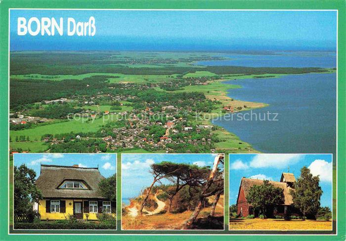 Born Darss Mecklenburg-Vorpommern Darss Fischland-Darss-Zingst Luftbild Reetdach