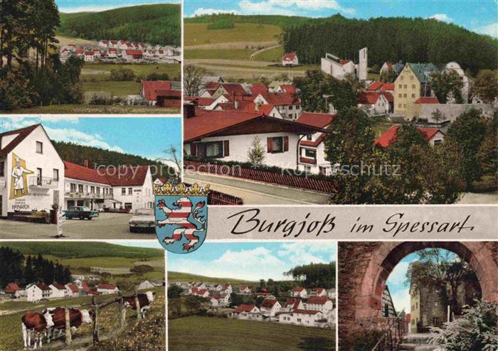 Burgjoss Jossgrund Spessart Hessen Spessart Ortsansicht Burgruine Wappen Kuehe M