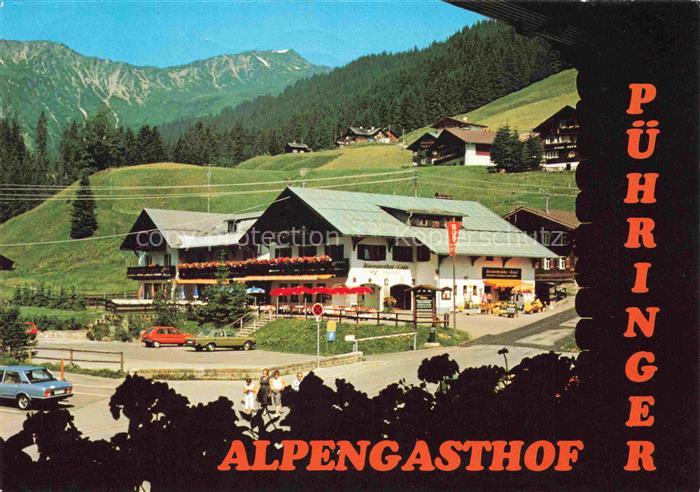 Baad-Mittelberg Kleinwalsertal AT Alpengasthof Puehringer Bergpanorama Almwiese