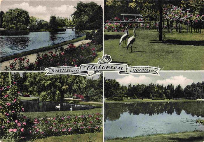Uetersen Pinneberg Schleswig-Holstein Rosarium Rosen Park Teich Bruecke Kraniche
