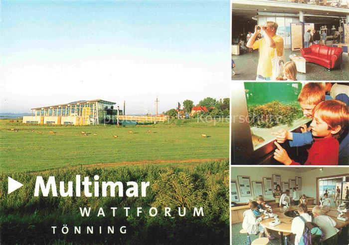 Toenning Nordseebad Multimar-Wattforum Ausstellung Nordsee Schafe Eider Museum K