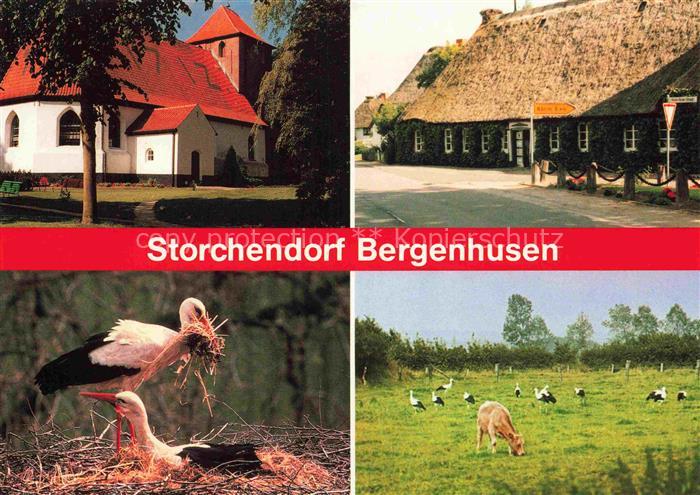 Bergenhusen Schleswig-Holstein Storchendorf Weisser-Storch Storchenhorst Kirche