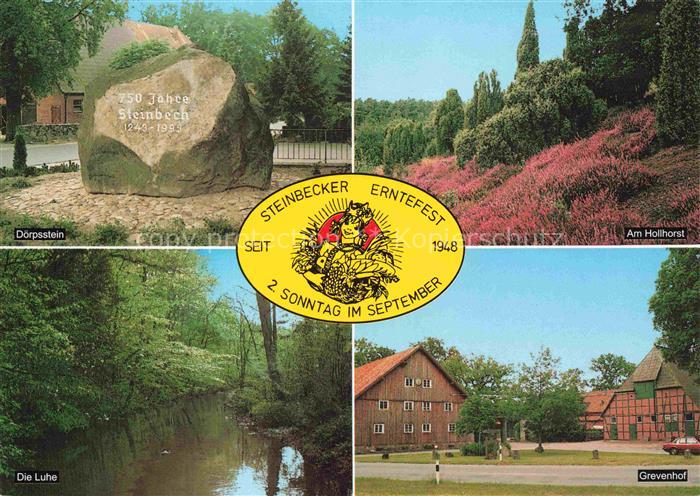 Steinbeck Luhe Bispingen Soltau-Fallingbostel Doerpsstein Hollhorst Heidebluete