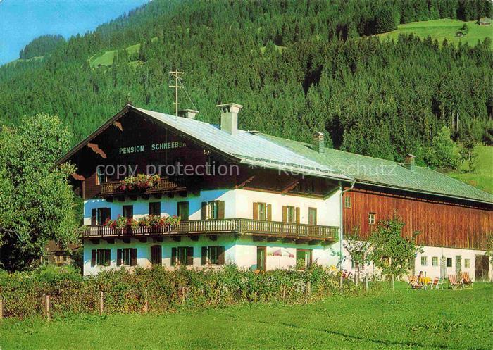 Westendorf Tirol AT Pension-Schneeberg Bauernhof Liegestuehle Geranien Wald Berg