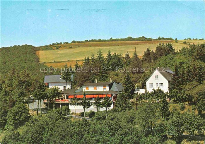 Presberg Rheingau Ruedesheim Gaststaette Rheingauer-Alp Sonnenterrasse Waldlands