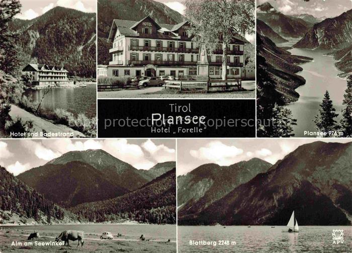 Plansee 973m REUTTE Breitenwang Ausserfern Tirol AT Hotel-Forelle See Berge Bade