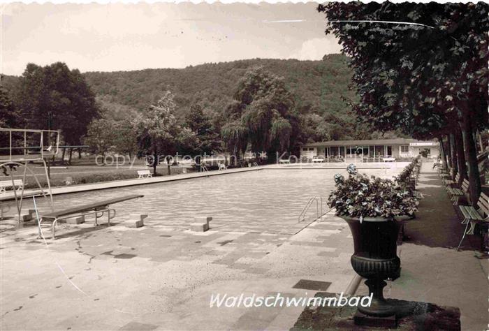 Bendorf Rhein Mayen-Koblenz Rheinland-Pfalz Waldschwimmbad Schwimmbecken Sprungt