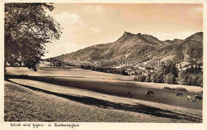 Niederaschau Chiemgau Bayern Hoyen Berge Kuehe Wiesen Wald Dorf Alpenvorland Chi