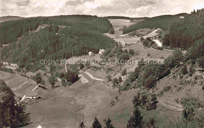 Nussbachtal Nussbach Triberg Schwarzwald BW Nussbachtal Schwarzwald Wald Taeler